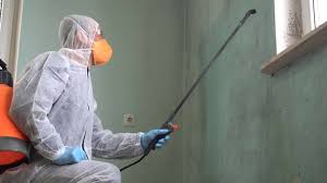 Why You Should Choose Our Mold Remediation Services in Orion, IL